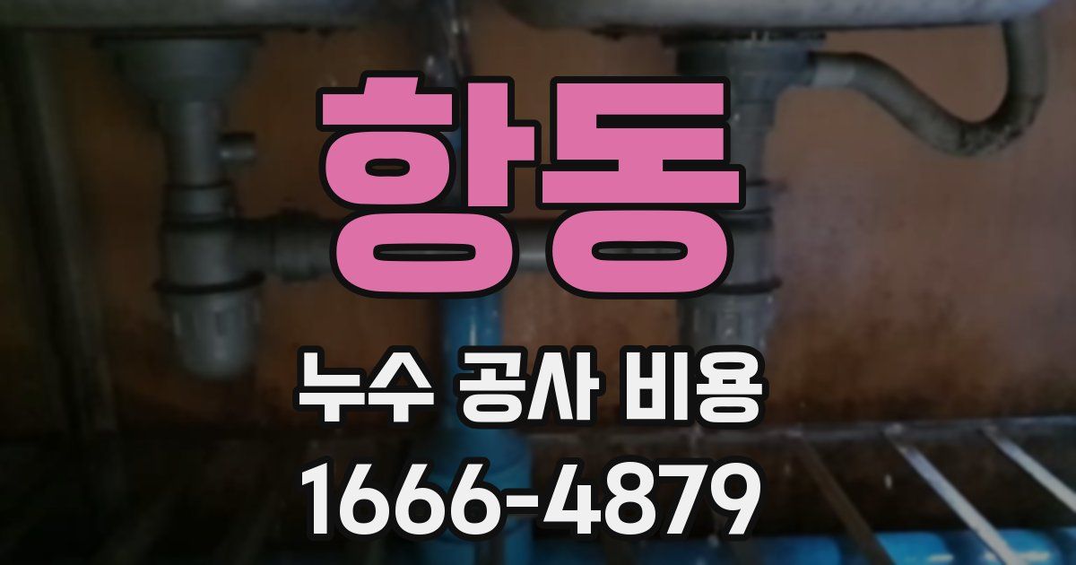 항동 누수 공사 비용