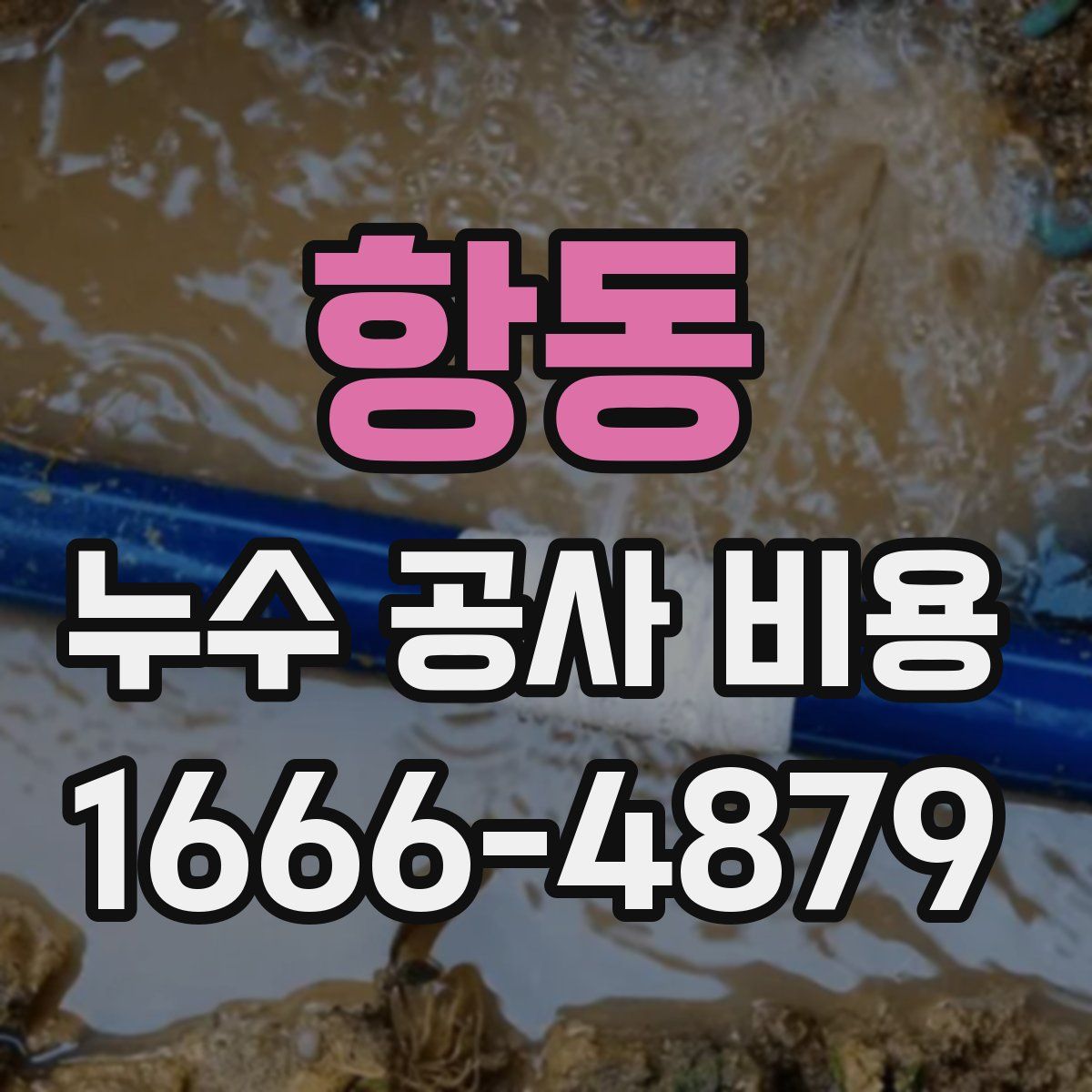 항동 누수 공사 비용