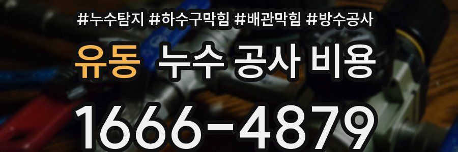 유동 누수 공사 비용