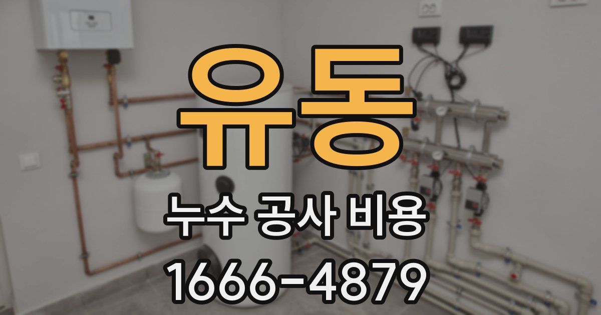 유동 누수 공사 비용