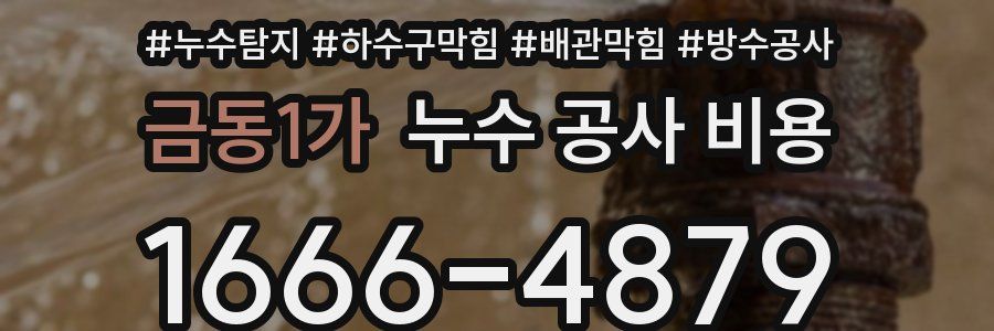 금동1가 누수 공사 비용