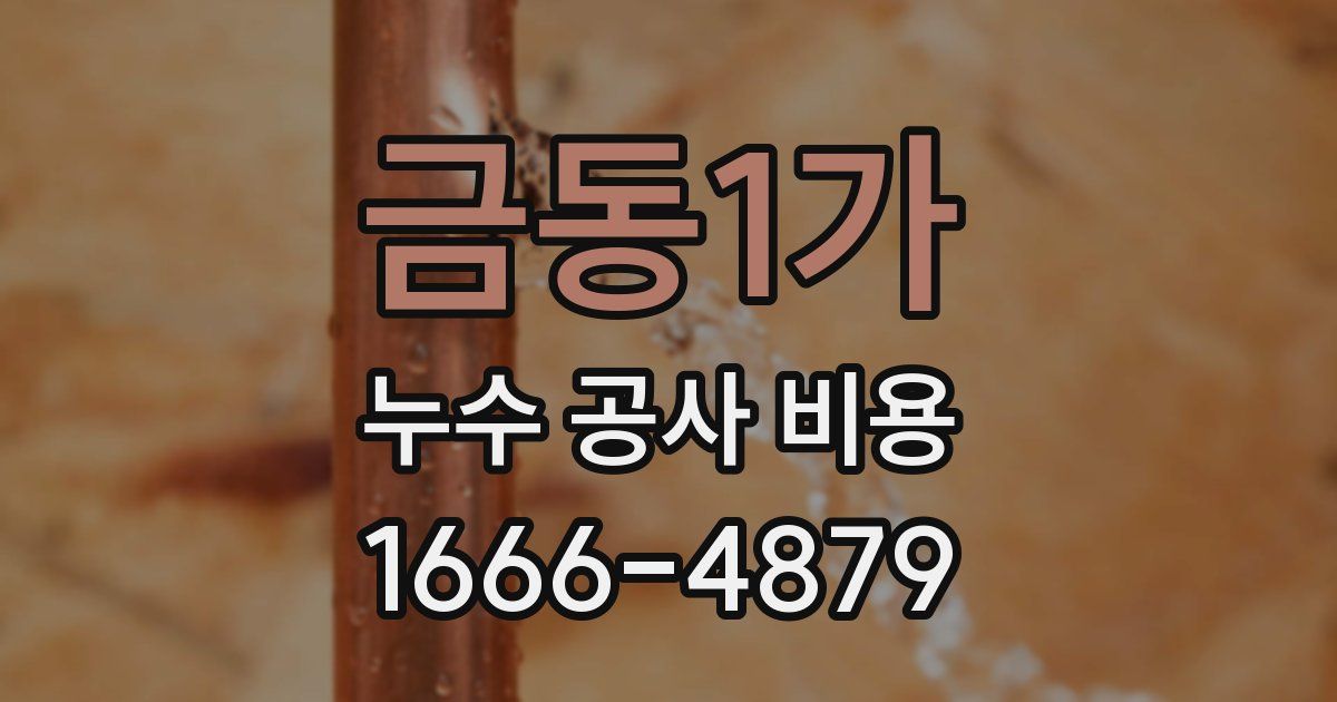 금동1가 누수 공사 비용