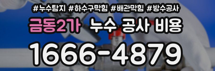 금동2가 누수 공사 비용