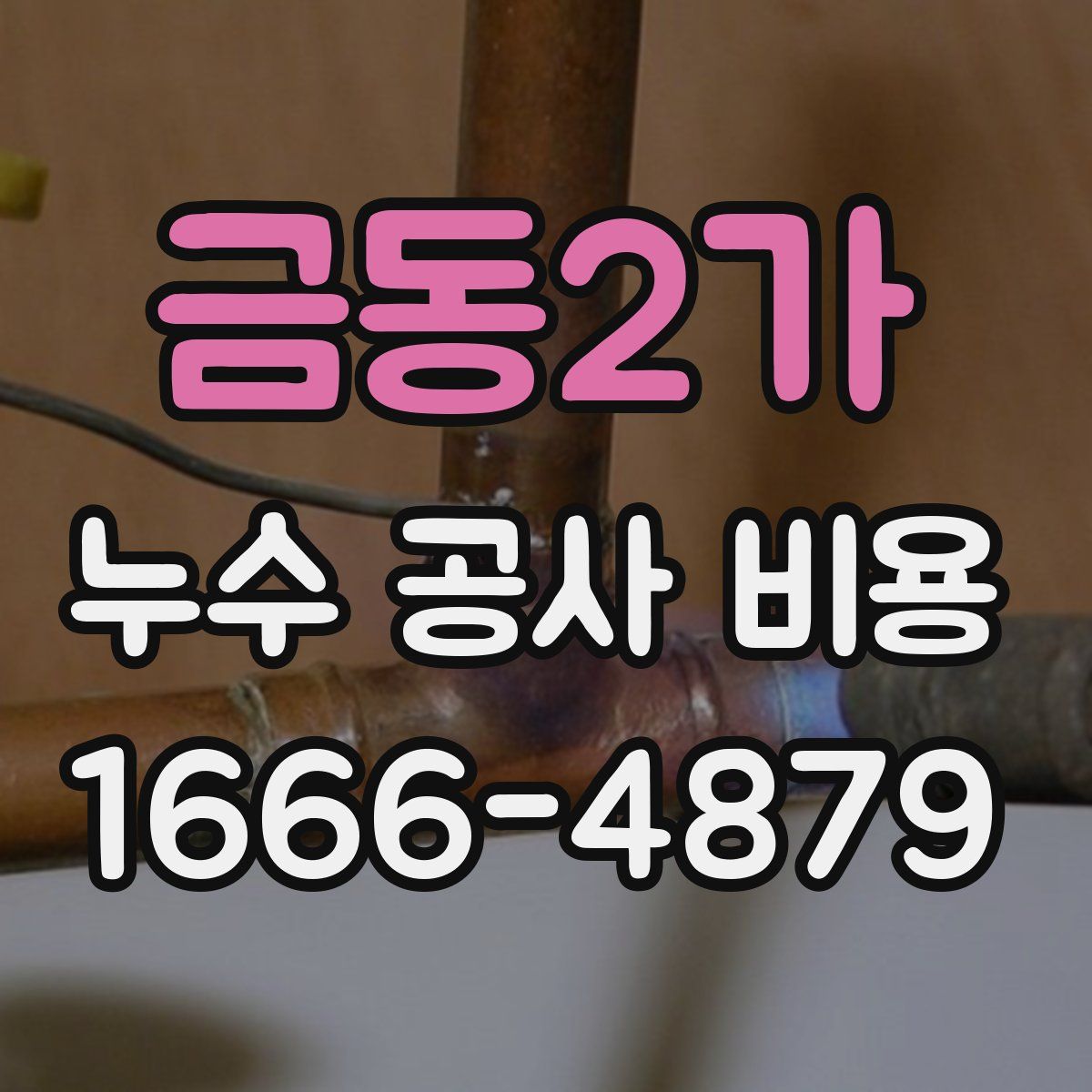 금동2가 누수 공사 비용