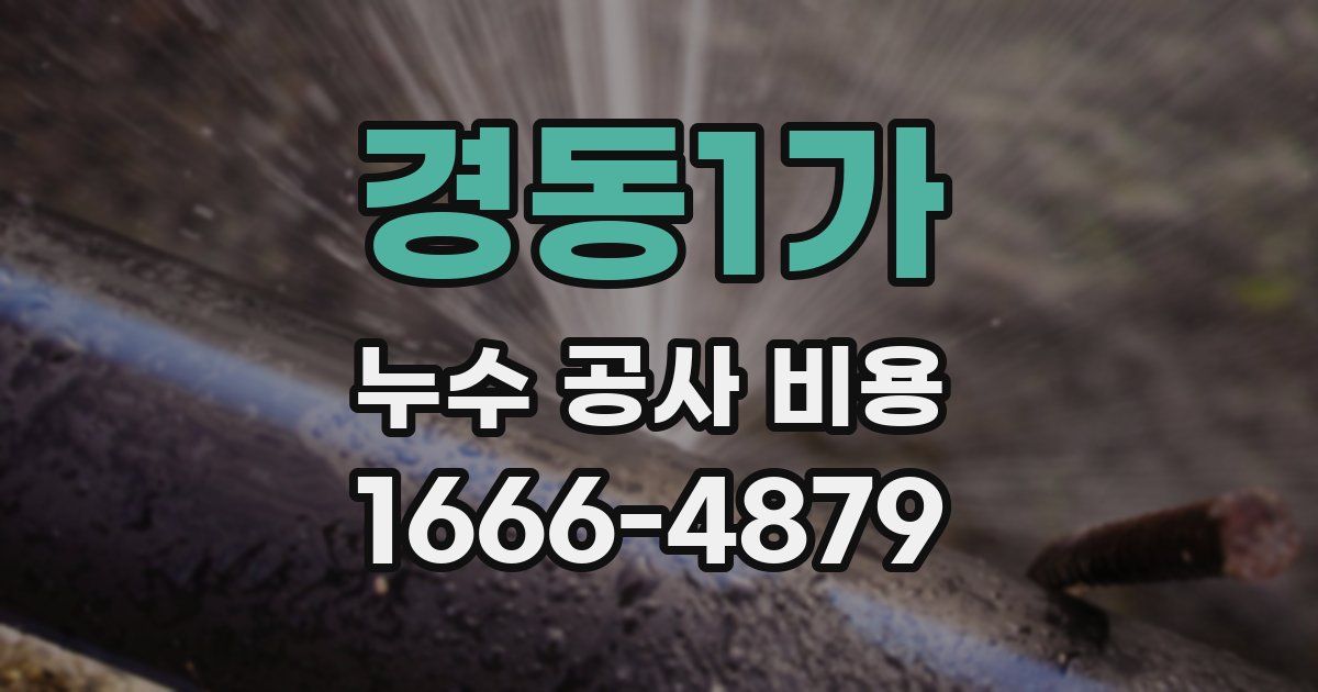 경동1가 누수 공사 비용