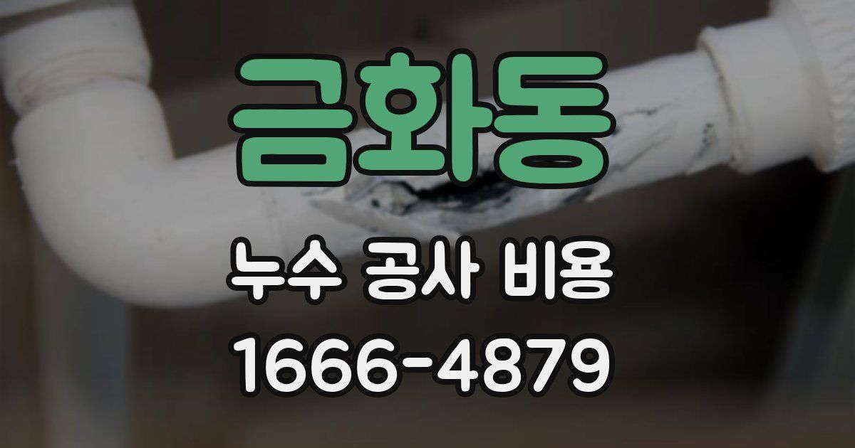 금화동 누수 공사 비용