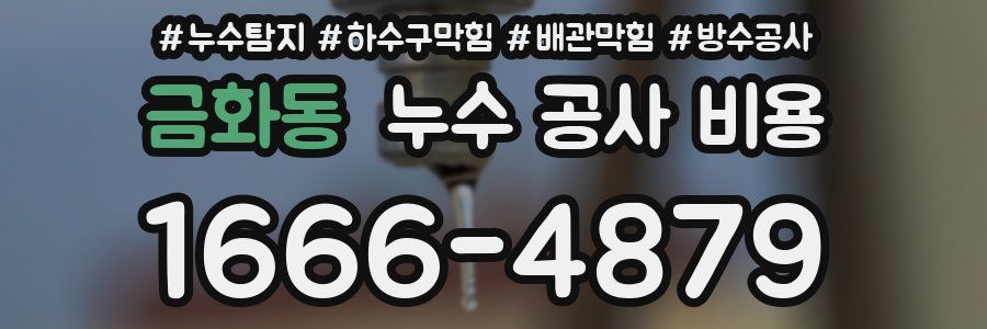 금화동 누수 공사 비용