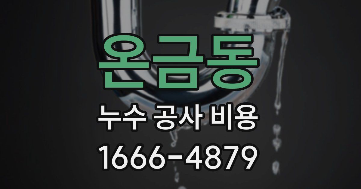 온금동 누수 공사 비용