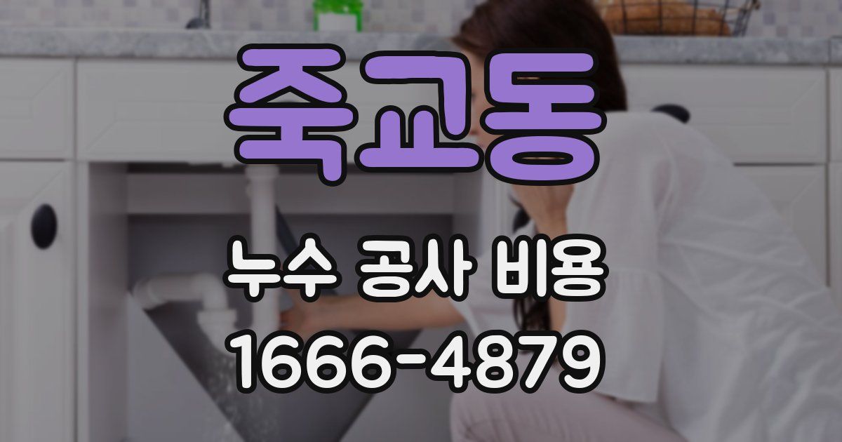 죽교동 누수 공사 비용