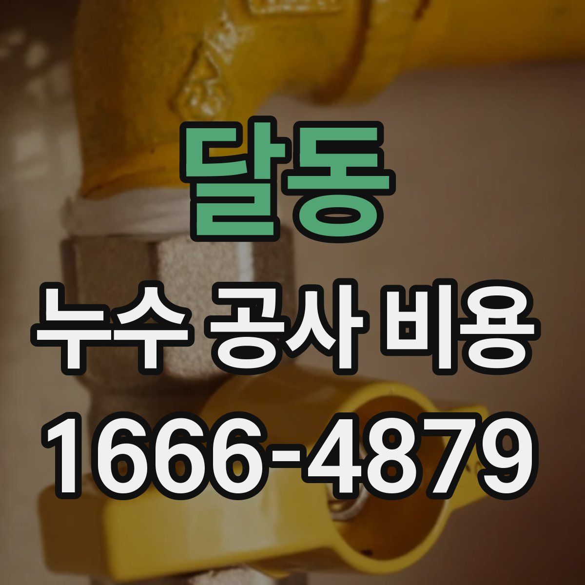 달동 누수 공사 비용