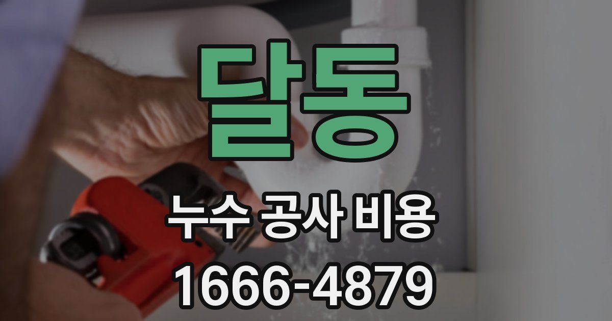 달동 누수 공사 비용