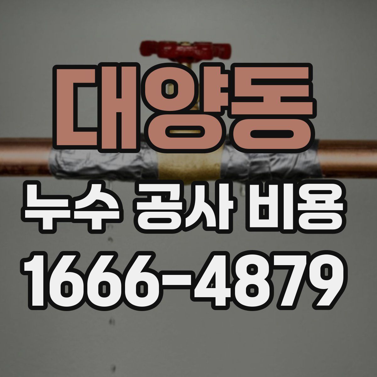 대양동 누수 공사 비용