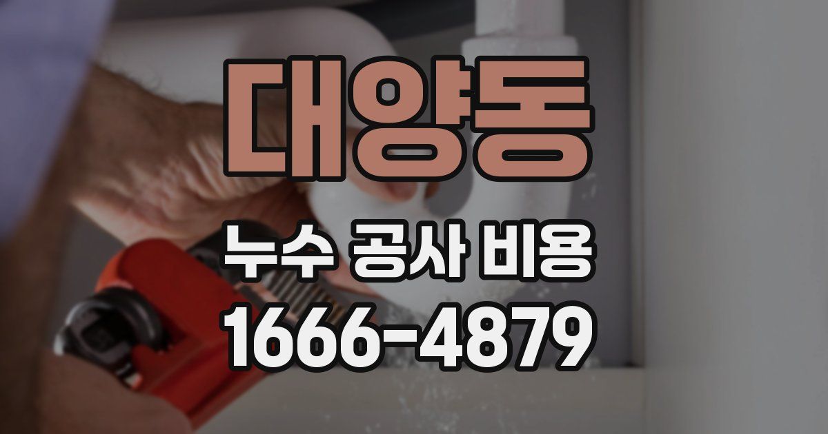 대양동 누수 공사 비용