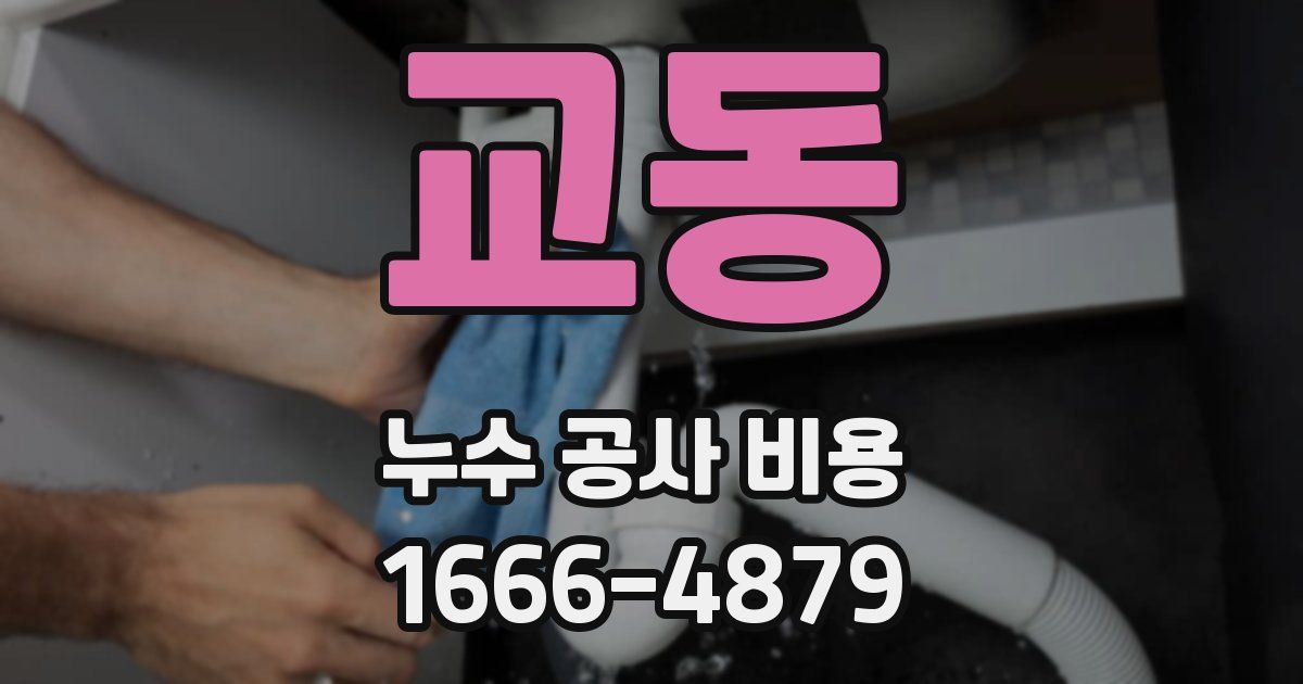 교동 누수 공사 비용