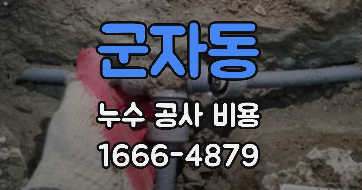 군자동 누수 공사 비용