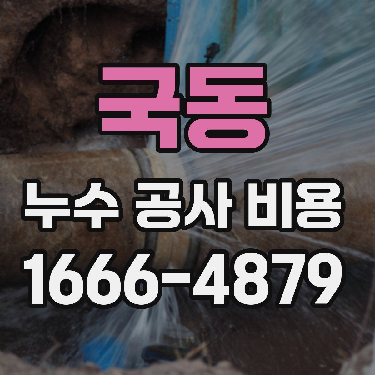 국동 누수 공사 비용