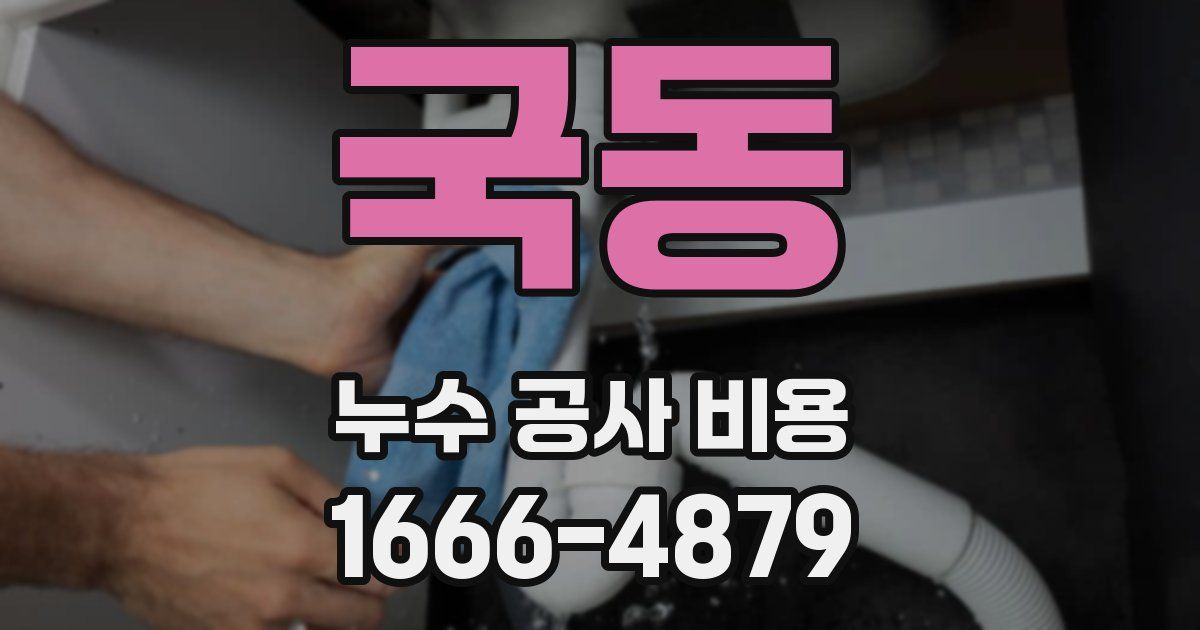 국동 누수 공사 비용