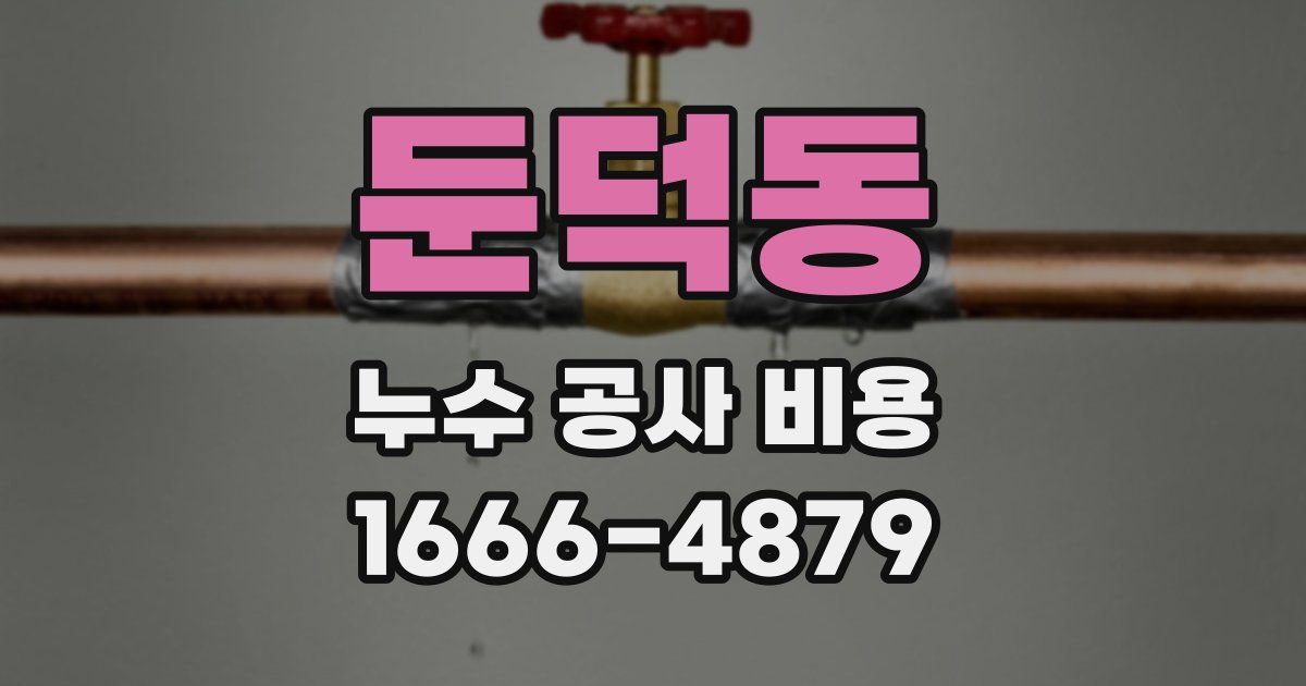 둔덕동 누수 공사 비용