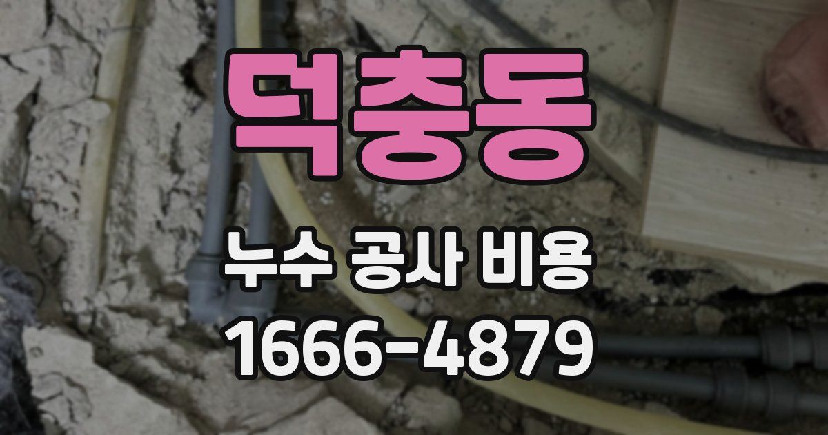 덕충동 누수 공사 비용