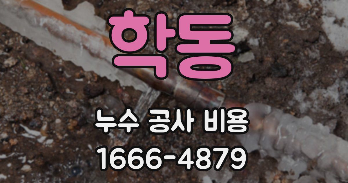 학동 누수 공사 비용