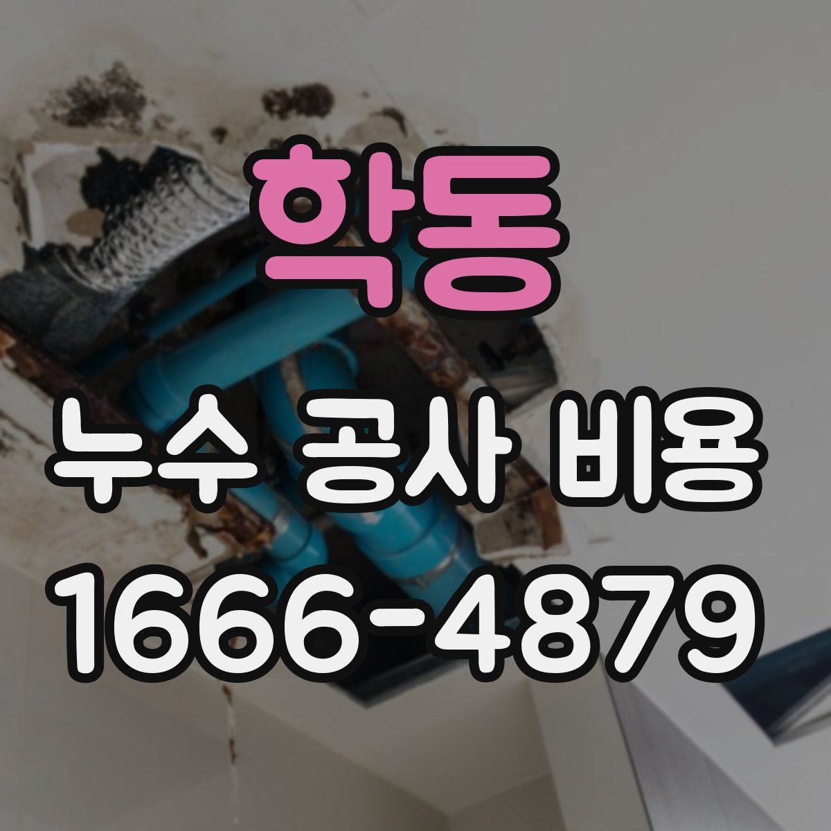 학동 누수 공사 비용