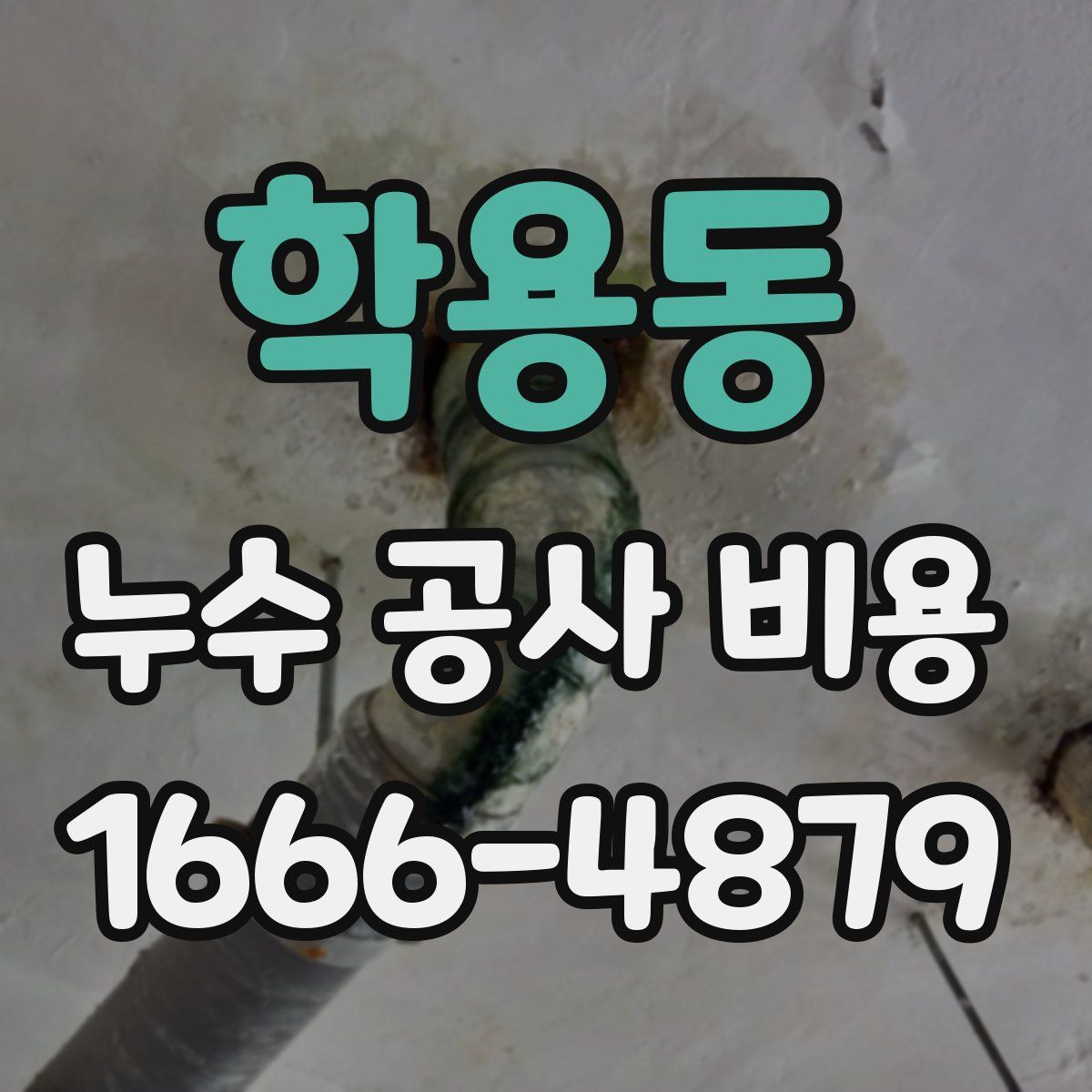 학용동 누수 공사 비용