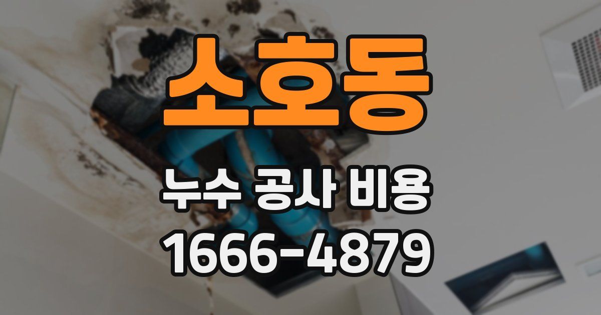 소호동 누수 공사 비용