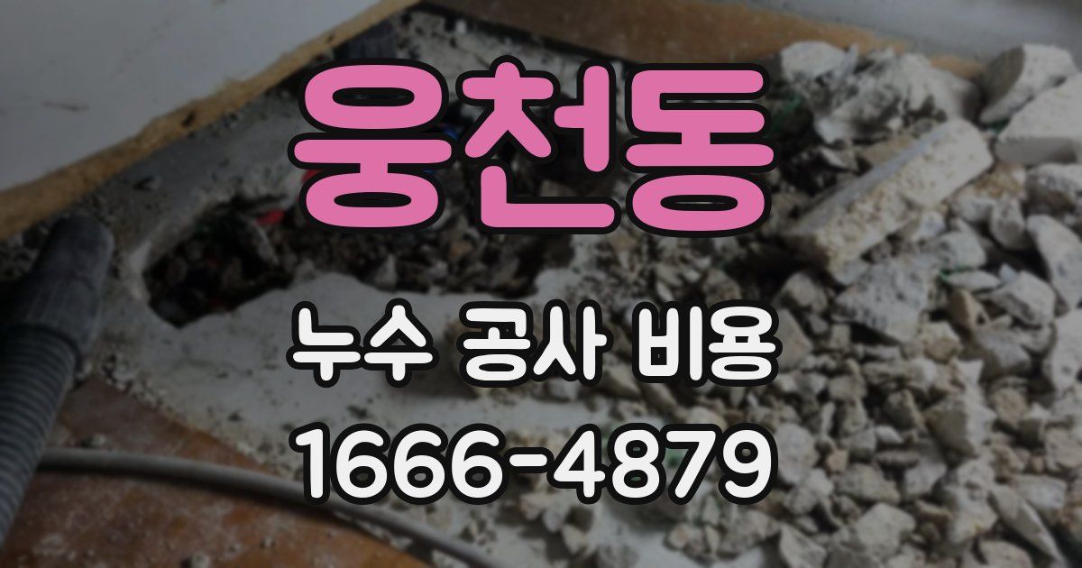 웅천동 누수 공사 비용