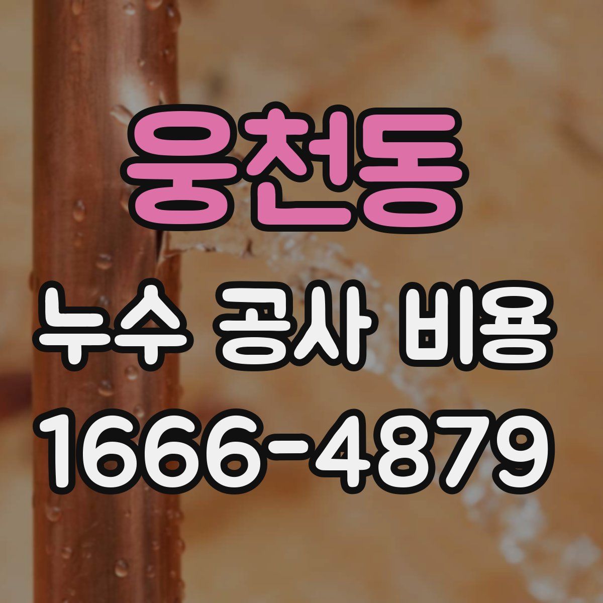 웅천동 누수 공사 비용