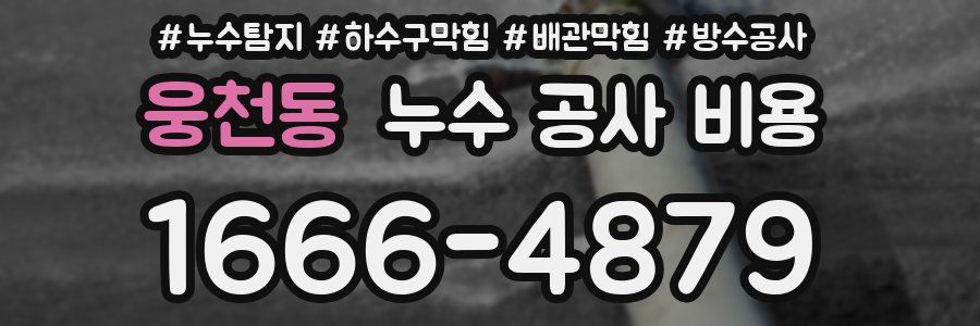 웅천동 누수 공사 비용