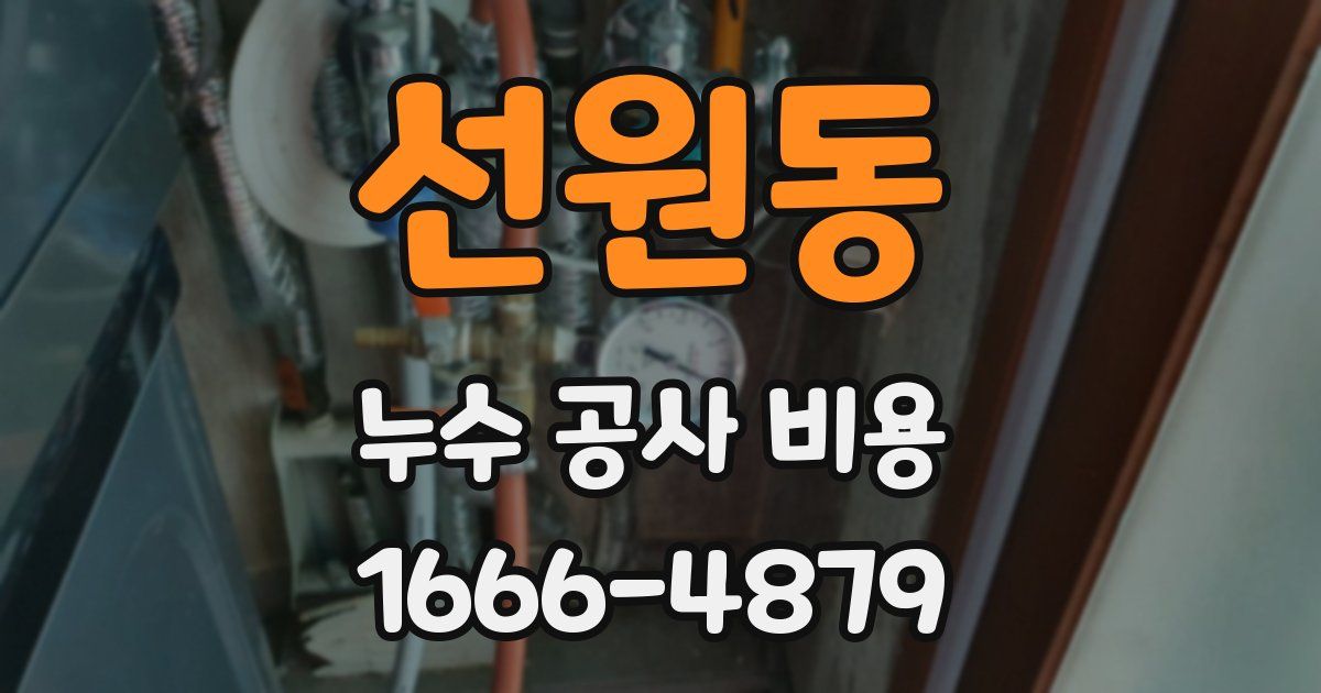 선원동 누수 공사 비용