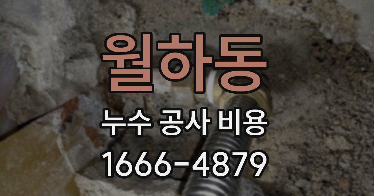 월하동 누수 공사 비용