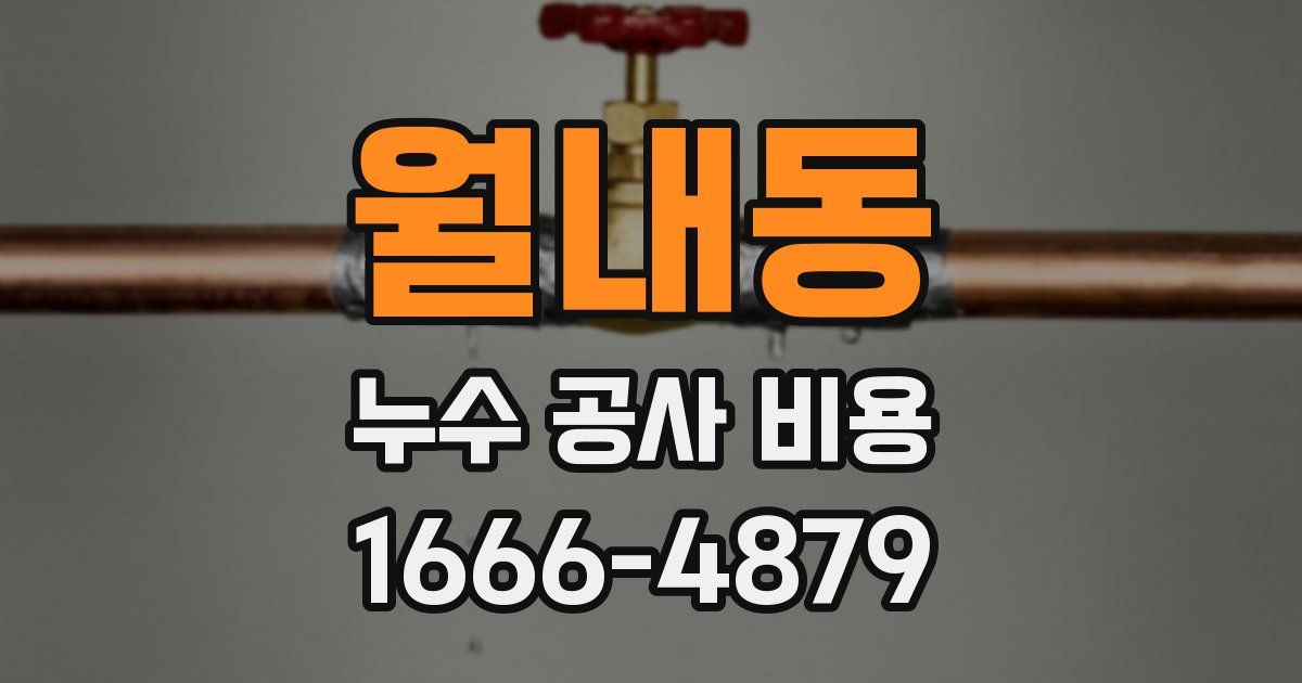 월내동 누수 공사 비용
