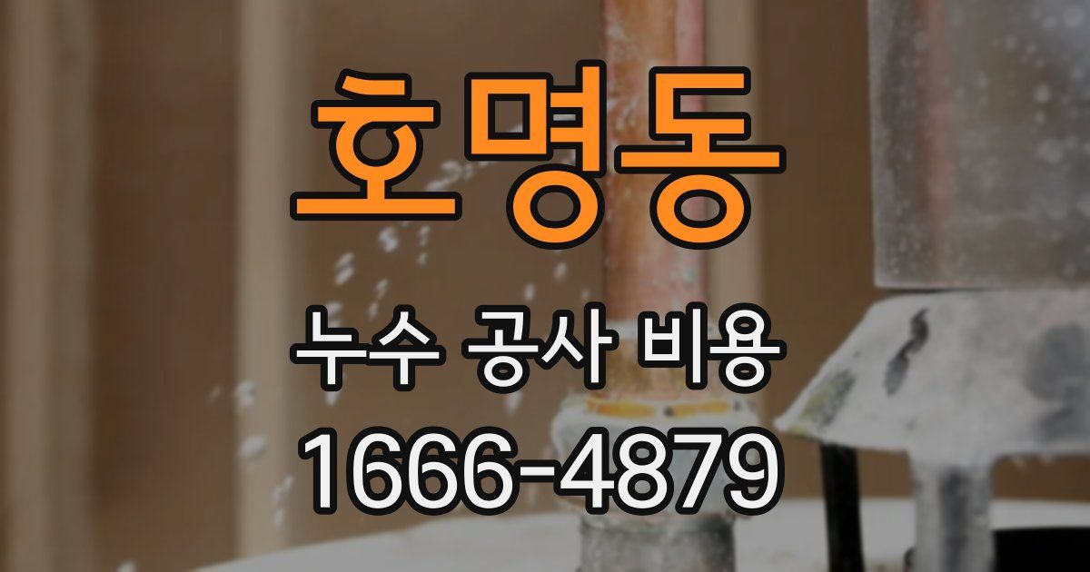 호명동 누수 공사 비용