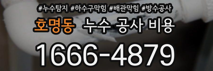 호명동 누수 공사 비용