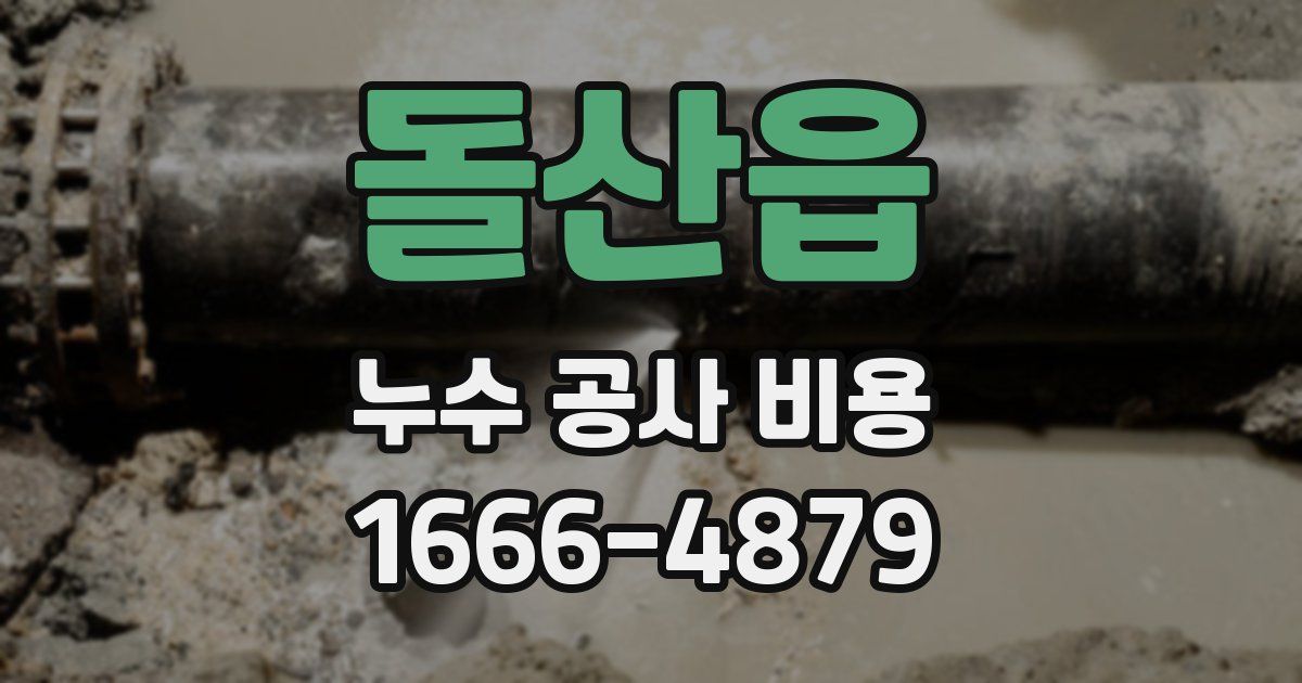 돌산읍 누수 공사 비용