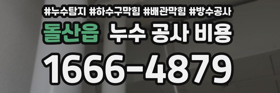 돌산읍 누수 공사 비용