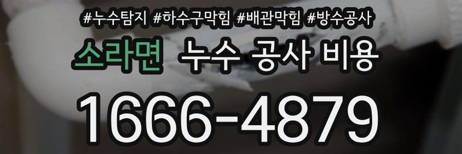 소라면 누수 공사 비용