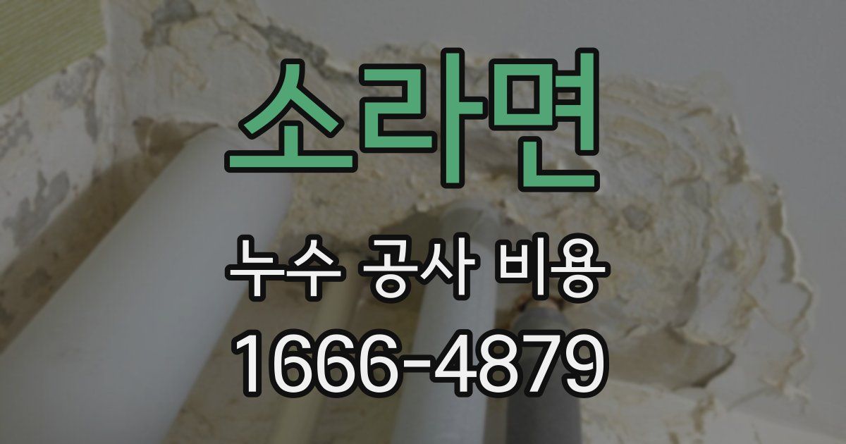 소라면 누수 공사 비용