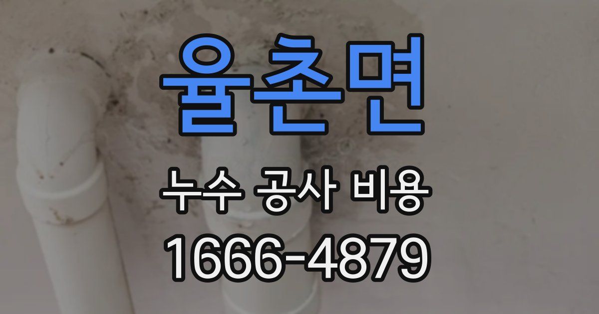 율촌면 누수 공사 비용