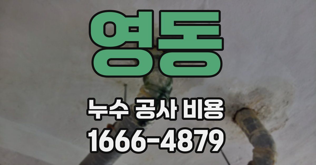 영동 누수 공사 비용