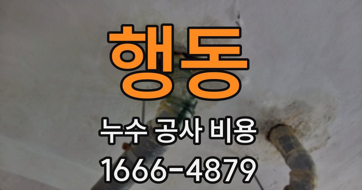 행동 누수 공사 비용