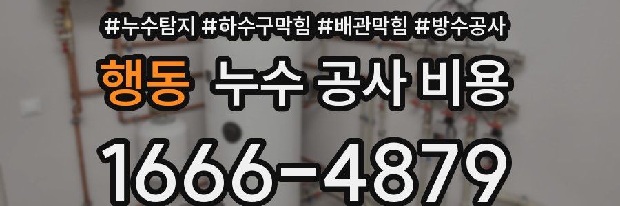 행동 누수 공사 비용