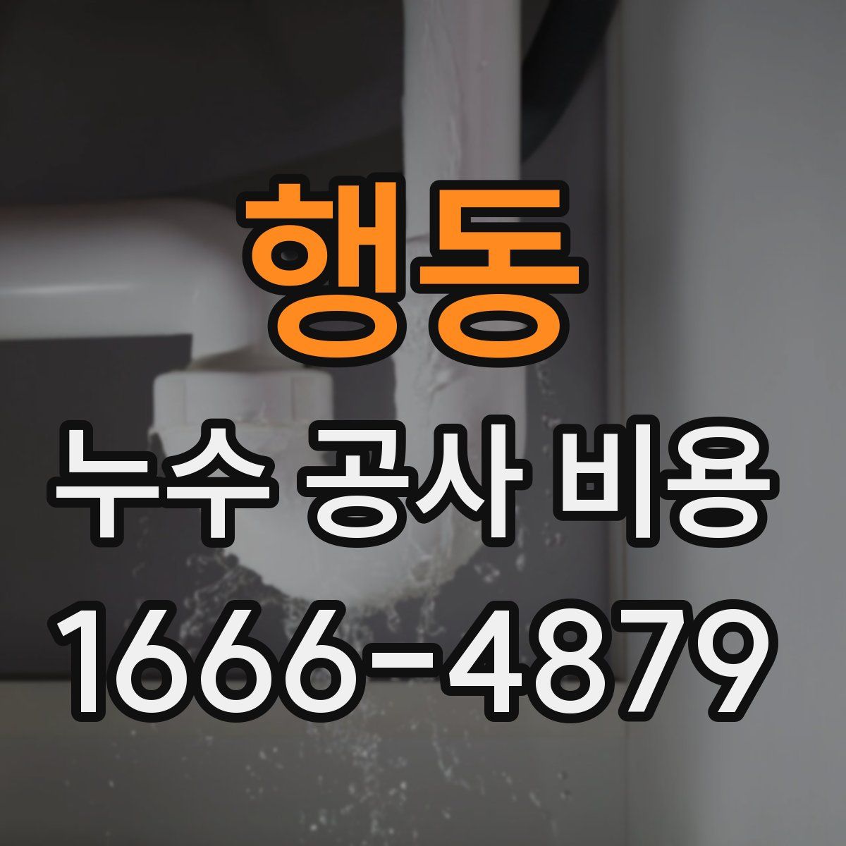 행동 누수 공사 비용