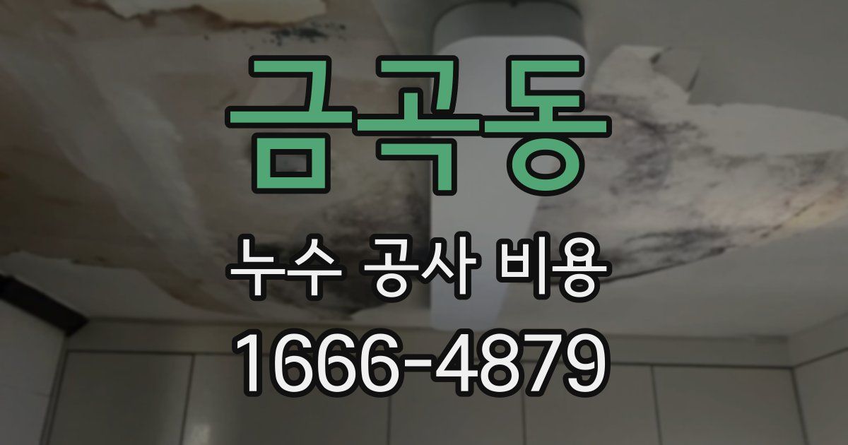 금곡동 누수 공사 비용