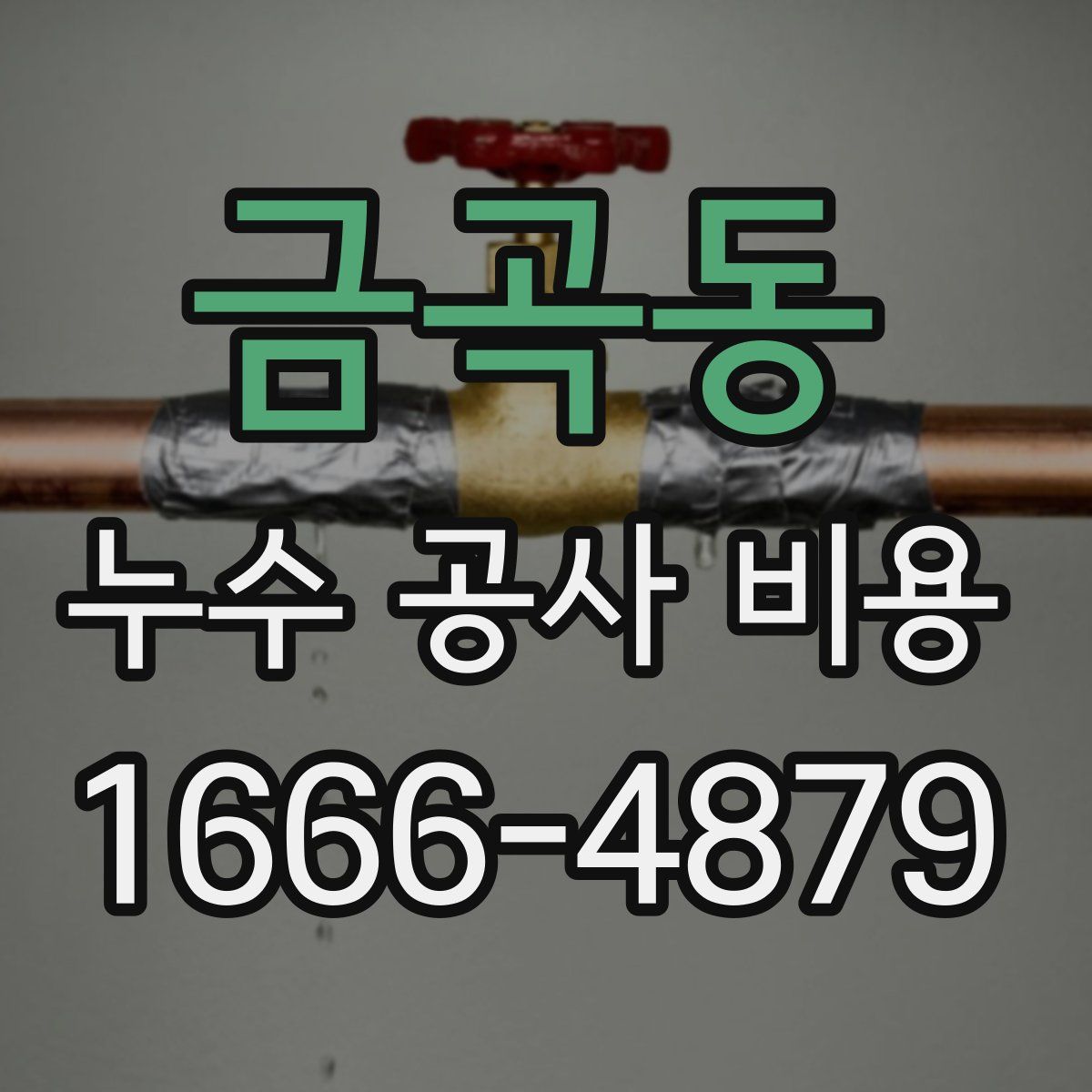 금곡동 누수 공사 비용