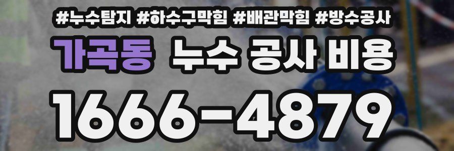 가곡동 누수 공사 비용