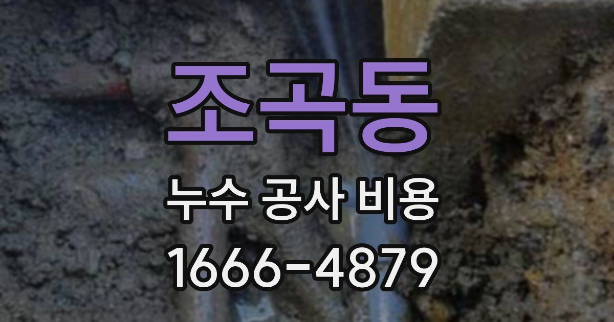 조곡동 누수 공사 비용