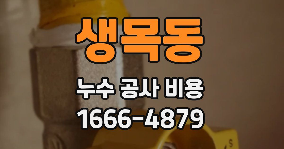 생목동 누수 공사 비용