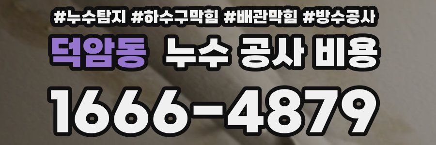 덕암동 누수 공사 비용